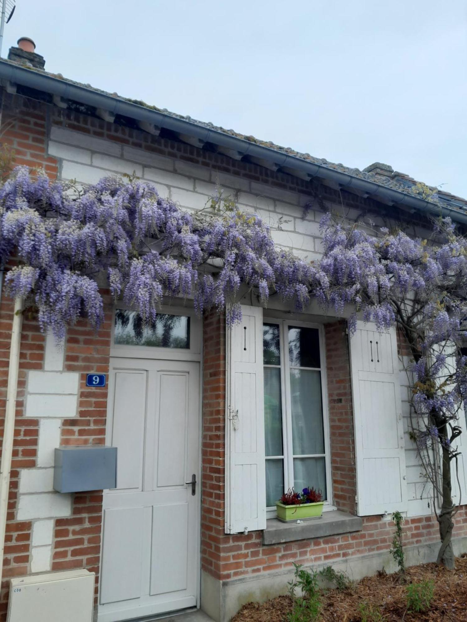 Gite, Maison A La Campagne Ardennes, Aisne,Marne Le Thour Ruang foto